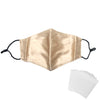 Silk Face Mask with Filter (Champagne)
